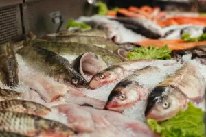 Bisnis Jual Ikan Segar, Bagaimana Potensinya di Indonesia?