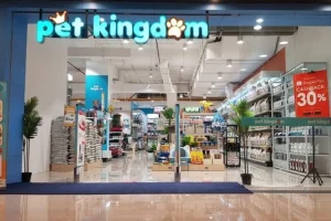 Cara Membuat Laporan Laba Rugi untuk Petshop