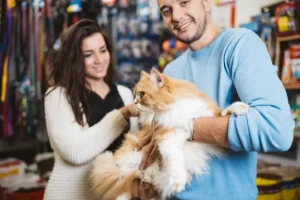Cara Praktis Menghitung & Meningkatkan Omzet Petshop