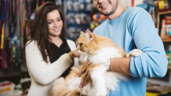 Cara Praktis Menghitung & Meningkatkan Omzet Petshop